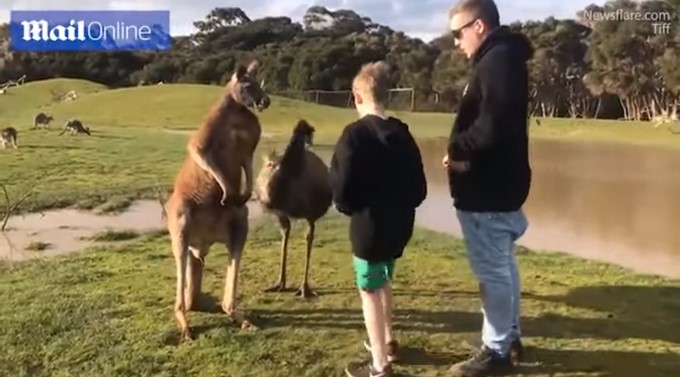 Captura tomada de Youtube: World Viral videos