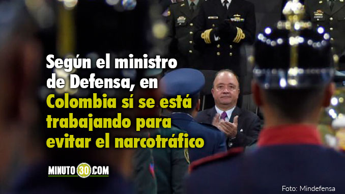 Mindefensa aseguró que en Colombia aumentó la cifra de hectáreas de coca erradicadas