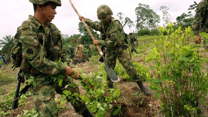 Soldados del Ejército erradican plantas de coca en la vereda El Miedo, en el departamento de Nariño