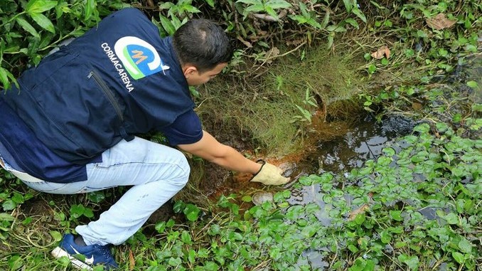 Animales víctimas del tráfico ilegal retornaron a su hogar
