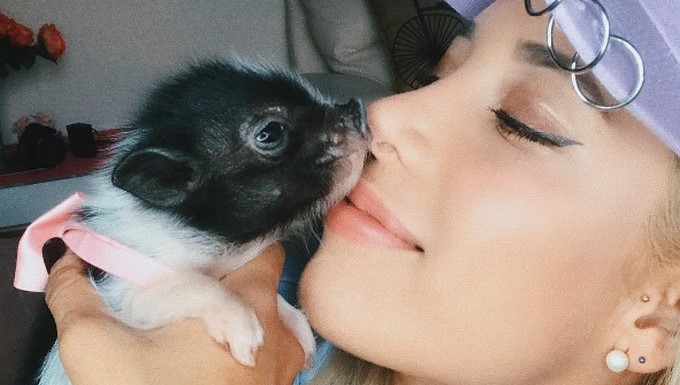 Luisa Fernanda W y su fallecida mascota, "María Juakina"/ Tomada de Instagram: @luisafernandaw