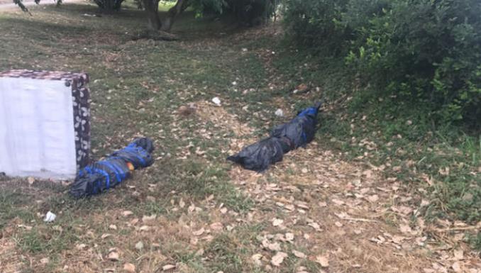 Envueltos en bolsas plásticas, así dejaron abandonados tres cadáveres en un cañaduzal en el Valle