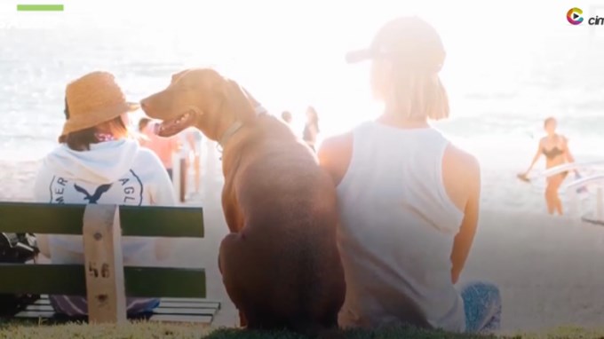 EN VIDEO: ¿Qué tan recomendable es posponer la paternidad?