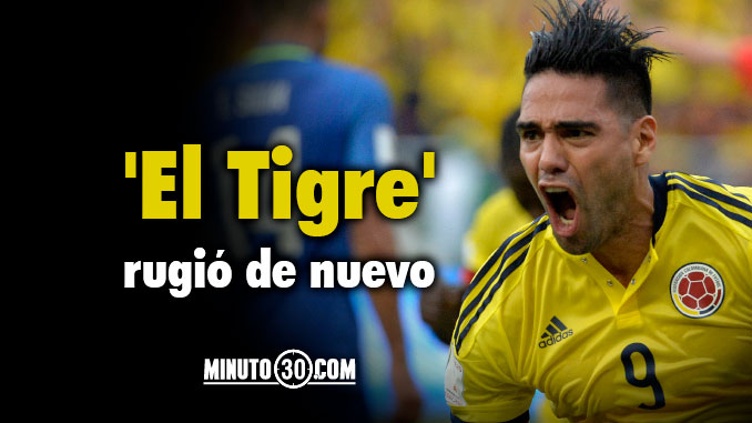 Falcao_Tigre_Garcia