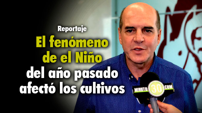 Álvaro Jaramillo Guzmán - Director Ejecutivo Comité de Cafeteros de Antioquia. Foto/Minuto30