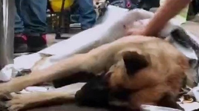 Captura tomada de Youtube: Venga La Alegría