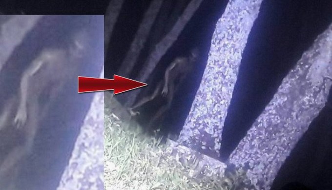 Foto: extranotix.com