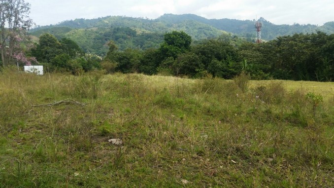 Autoridades ocuparon 65 bienes de alias 'el Quesero', uno de los principales testaferros de las Farc