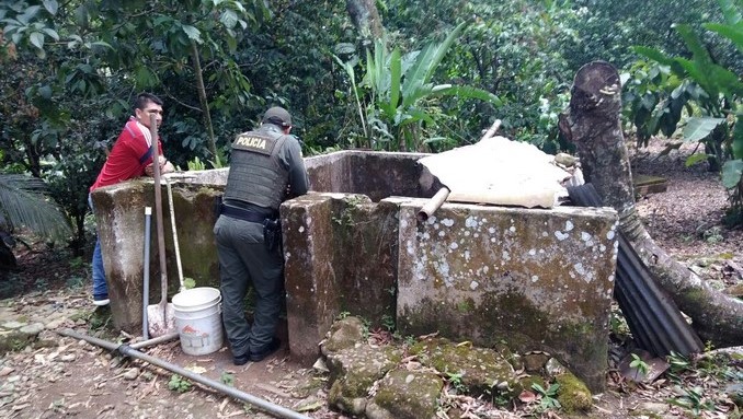 Autoridades incautaron 21 tortugas que estaban exhibidas en un restaurante de San Martín, Meta