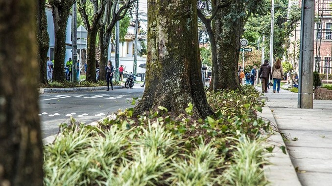 Los jardines que adornarán los recorridos del papa en Bogotá