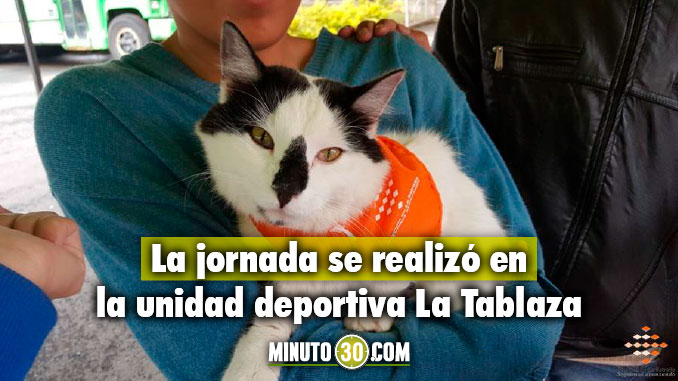 Así fue la jornada de atención a las mascotas en la Fiestas de El Romeral en La Estrella