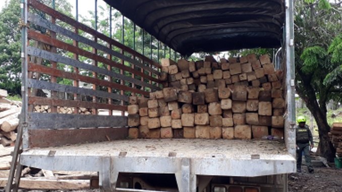 Autoridades incautaron madera en San Juan de Urabá