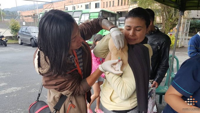 Así fue la jornada de atención a las mascotas en la Fiestas de El Romeral en La Estrella