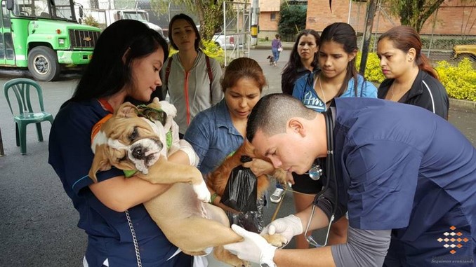 Así fue la jornada de atención a las mascotas en la Fiestas de El Romeral en La Estrella