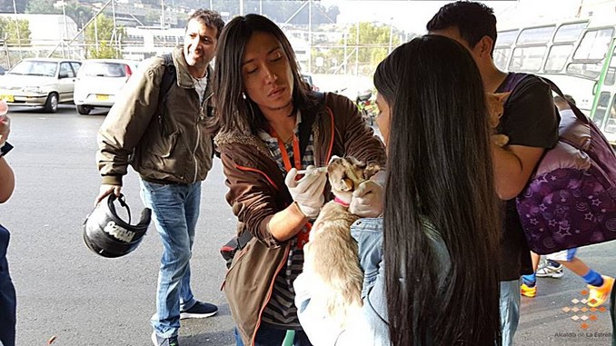 Así fue la jornada de atención a las mascotas en la Fiestas de El Romeral en La Estrella