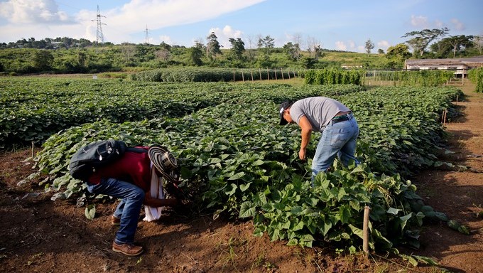 Doce países ratifican el primer acuerdo ambiental vinculante de América Latina
