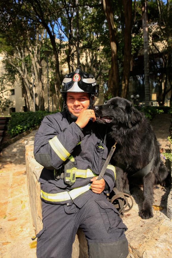 Los rescatistas de cuatro patas de Bomberos de Bogotá que viajaron a México para ayudar a las víctimas