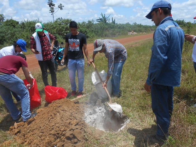 En Puerto Rico, Meta, se realizó una jornada de recolección de caracol africano