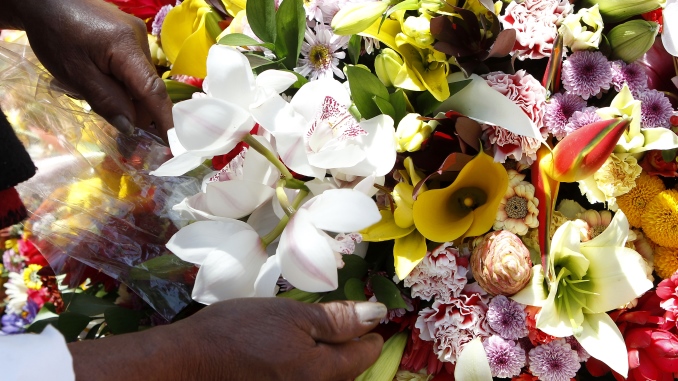 Silletas florales llenarán de color la misa del papa Francisco en Medellín