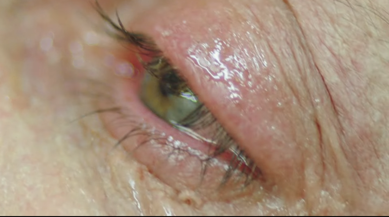 Captura tomada de Youtube: Stop The Horror