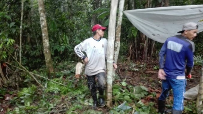 Autoridades capturaron a dos personas por tala masiva en Uribe, Meta