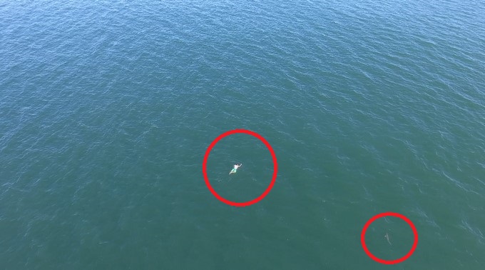 Captura tomada de Youtube: Port City Daily