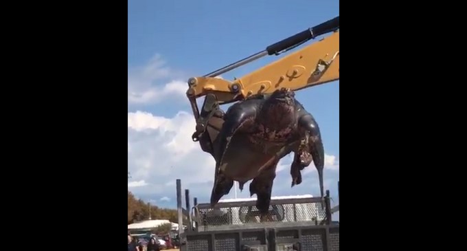 Captura tomada de Twitter: @PepParera12