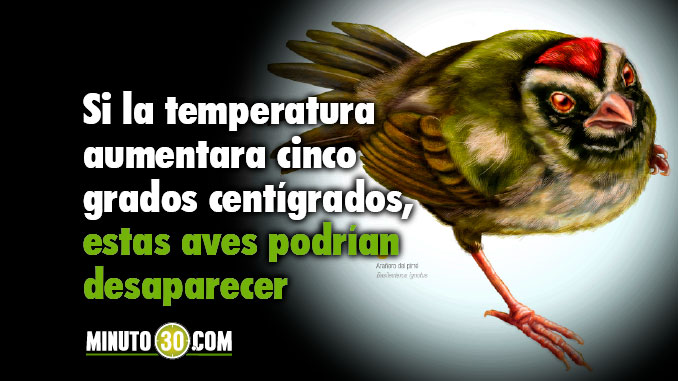 aves_colombianas_cambio_climatico