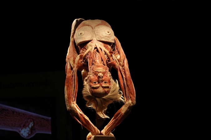 cadaveres_exposicion_doctor_muerte