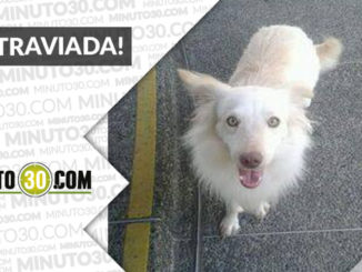 "Lluvia" se perdió Prado Centro. ¿La ha visto? 1 767