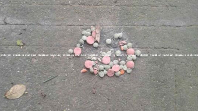 Comida_de_Mascotas_Envenenada_1