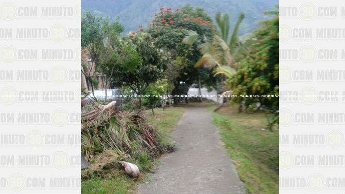 Comida_de_Mascotas_Envenenada_2