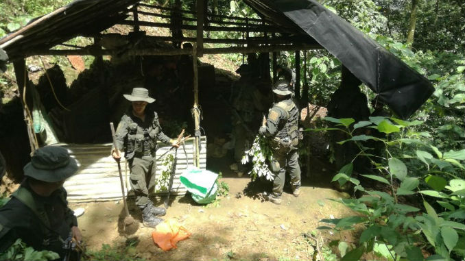 Erradicacion_Cultivos_ilicitos_PoliAntioquia_1