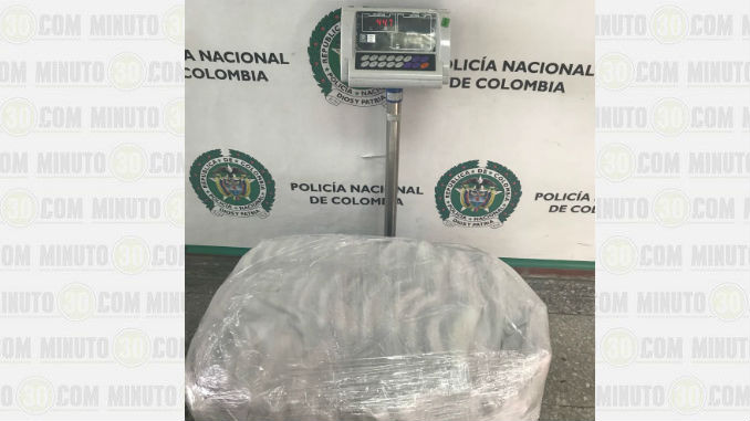 Igor_perro_Antinarcticos_