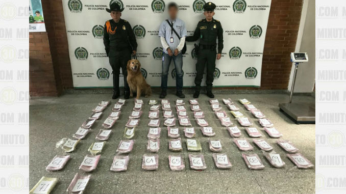 Igor_perro_Antinarcticos_3