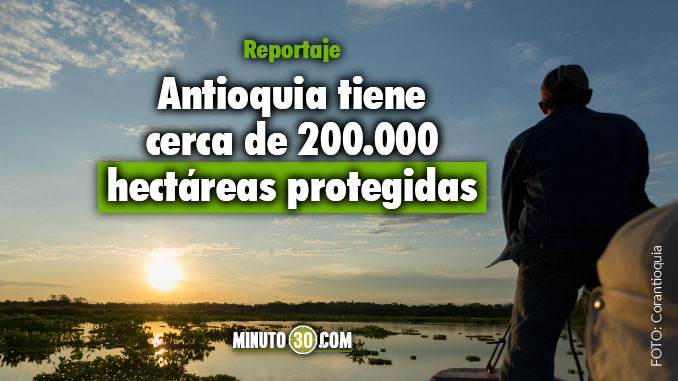 Ciénaga de Barbacoa. Foto/Archivo Corantioquia