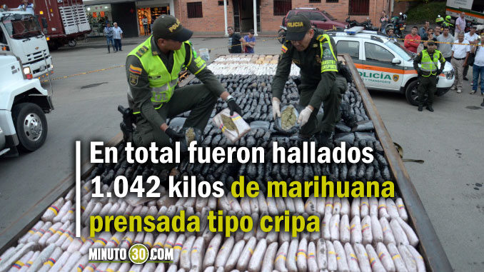 Marihuana_Caldas