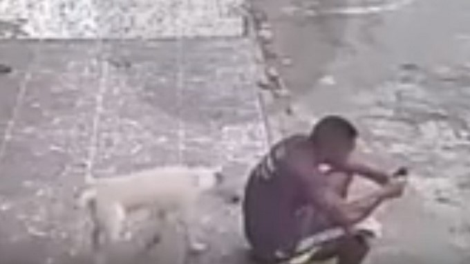 Perro orinó un hombre