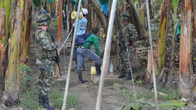 Las labores del Ejército para garantizar la seguridad de bananeros en el Urabá antioqueño