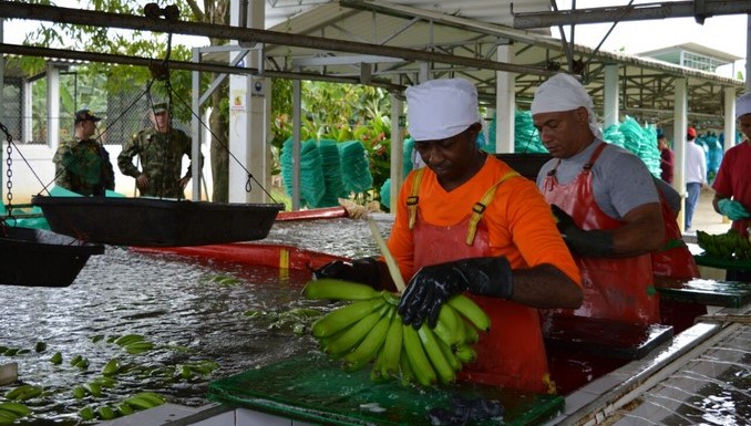 Las labores del Ejército para garantizar la seguridad de bananeros en el Urabá antioqueño