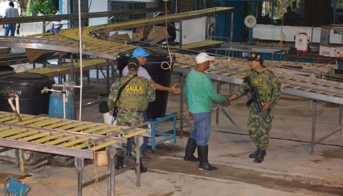 Las labores del Ejército para garantizar la seguridad de bananeros en el Urabá antioqueño