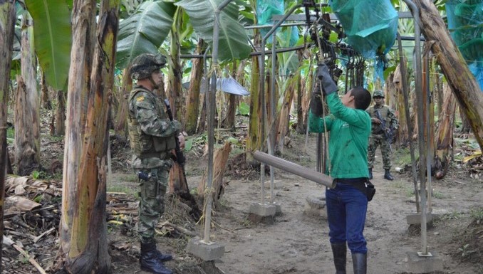 Las labores del Ejército para garantizar la seguridad de bananeros en el Urabá antioqueño