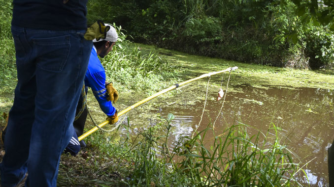 Traslado_Caiman_Coco_7