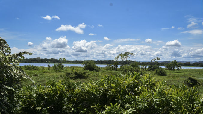 Traslado_Caiman_Coco_9