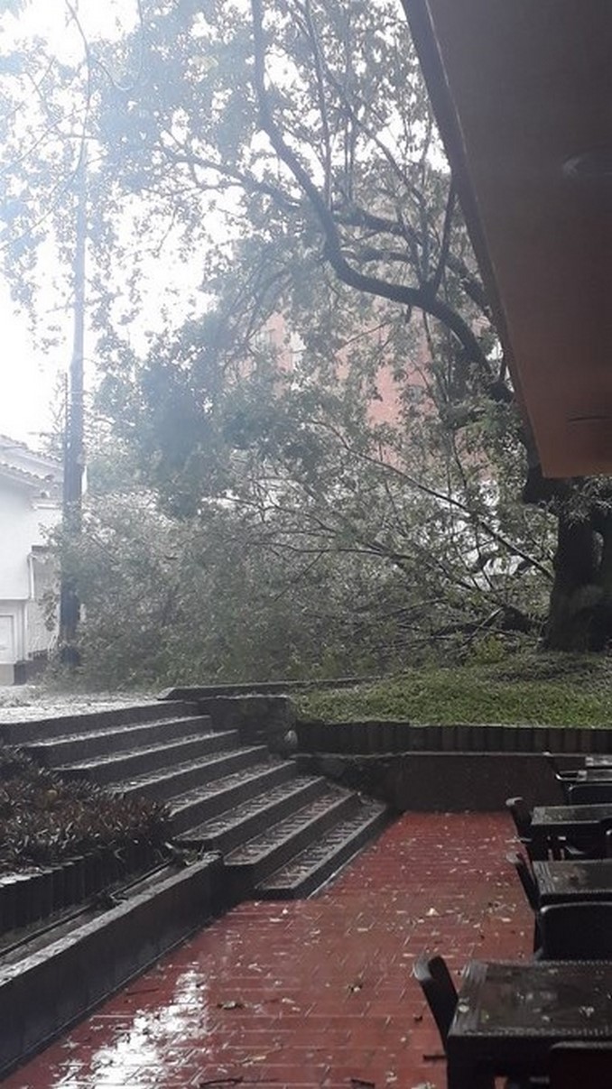 Los estragos del aguacero en Conquistadores