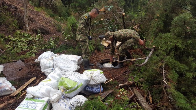 Ubican centro de acopio subterráneo en Montebello con más de 700 kilos de droga del 'Clan del Golfo'
