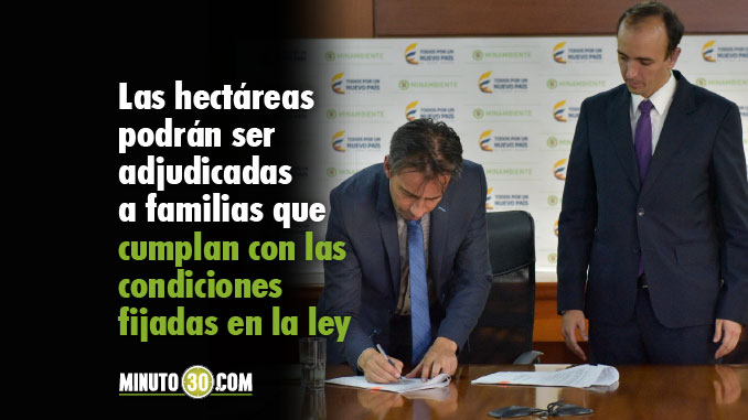 Cerca de tres mil personas en Nariño recibirán unas 15 mil hectáreas de tierras