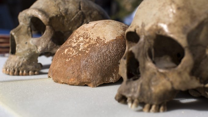Nuevas evidencias que apuntan a un origen de Homo sapiens hace unos 300.000 años en África hunden más profundamente las raíces de la humanidad en ese continente y arrojan luz sobre la naturaleza de las diferencias humanas, asestando un golpe definitivo al concepto de raza. EFE/ARCHIVO