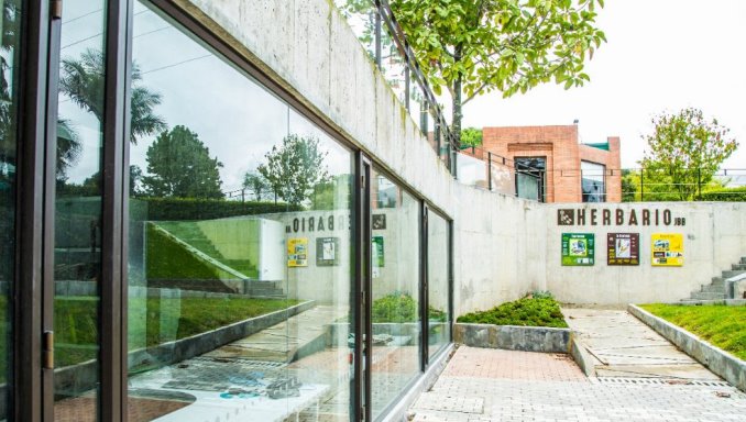 El nuevo herbario de Bogotá contará con 20.000 ejemplares de flora