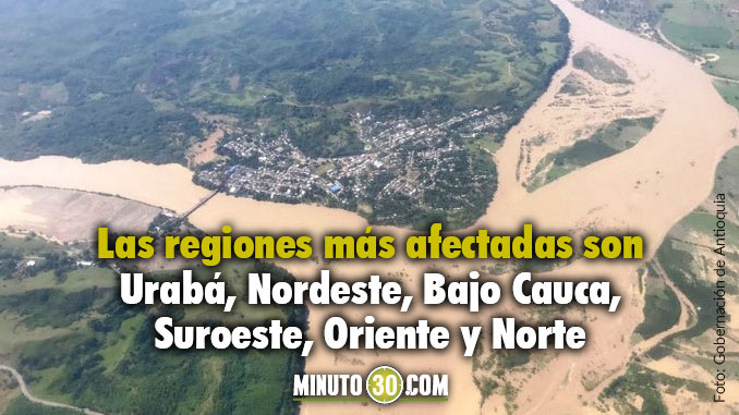 ¡Pilas! En temporada de lluvias hay que estar alerta ante la presencia de animales ponzoñosos y venenosos